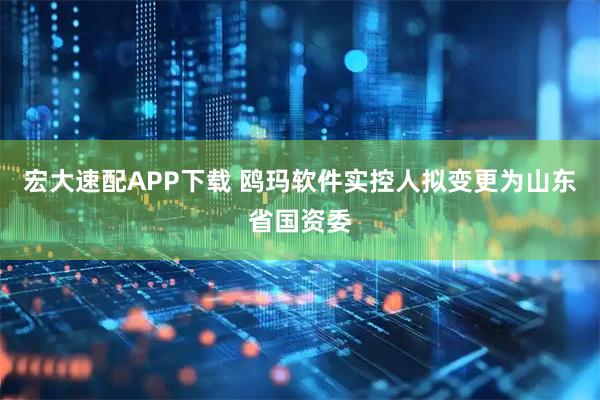 宏大速配APP下载 鸥玛软件实控人拟变更为山东省国资委