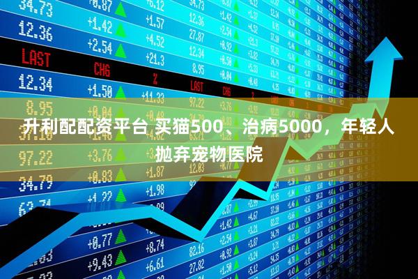 升利配配资平台 买猫500、治病5000，年轻人抛弃宠物医院