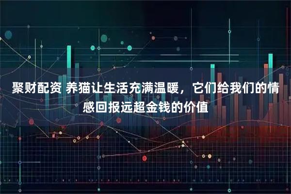 聚财配资 养猫让生活充满温暖，它们给我们的情感回报远超金钱的价值