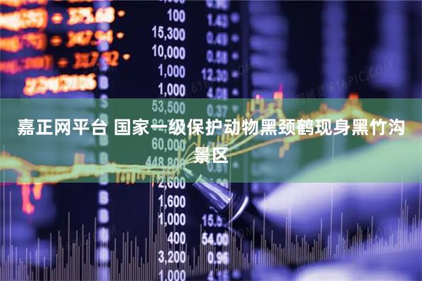 嘉正网平台 国家一级保护动物黑颈鹤现身黑竹沟景区
