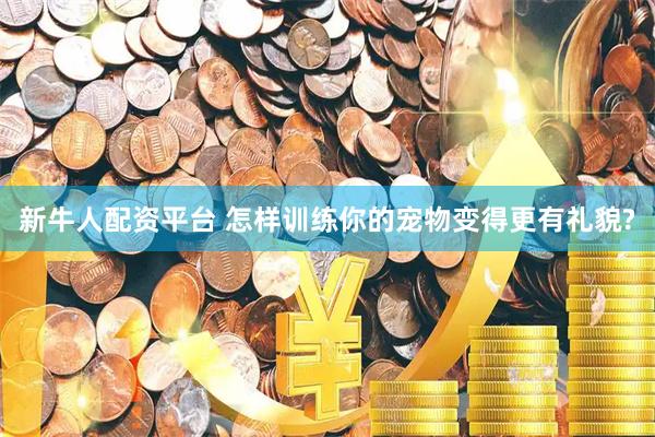 新牛人配资平台 怎样训练你的宠物变得更有礼貌?