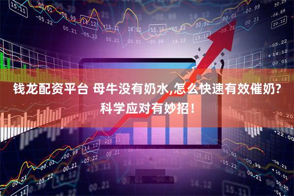 钱龙配资平台 母牛没有奶水,怎么快速有效催奶?科学应对有妙招！