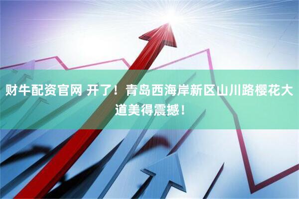财牛配资官网 开了！青岛西海岸新区山川路樱花大道美得震撼！