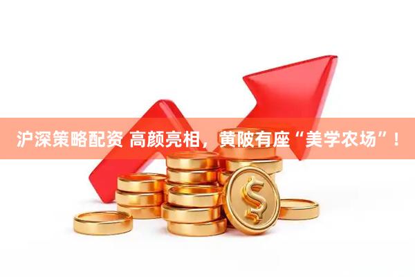 沪深策略配资 高颜亮相，黄陂有座“美学农场”！