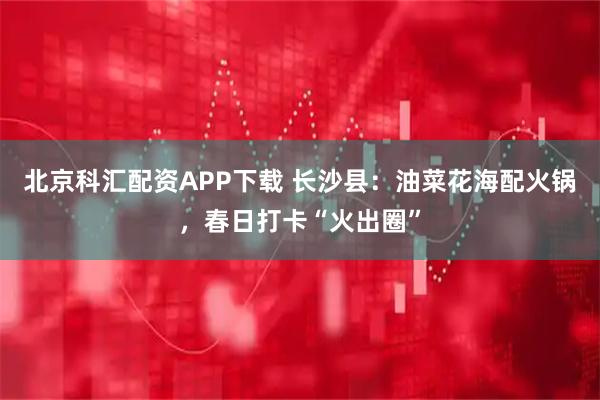 北京科汇配资APP下载 长沙县：油菜花海配火锅，春日打卡“火出圈”